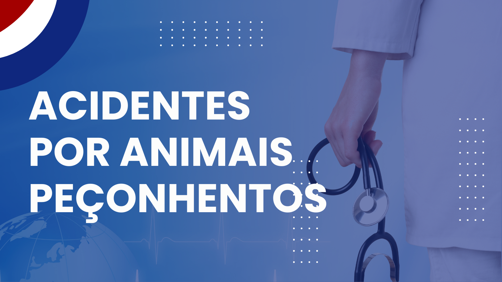 Acidentes por animais peçonhentos