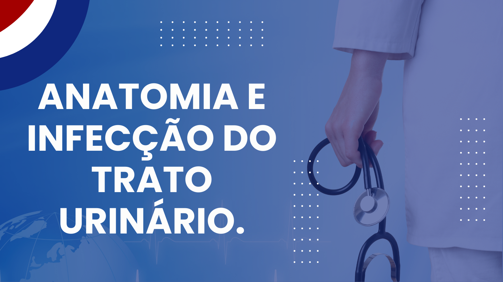 Anatomia e infecção do trato urinário