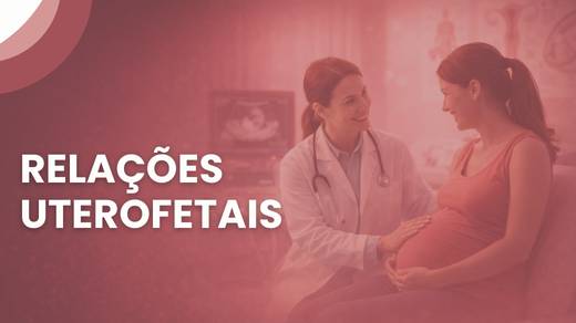 Relações Uterofetais
