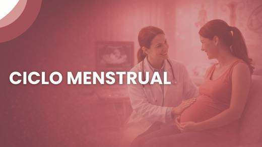 Ciclo Menstrual