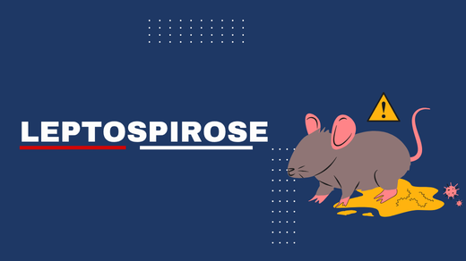 Leptospirose