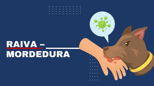 Raiva – mordedura