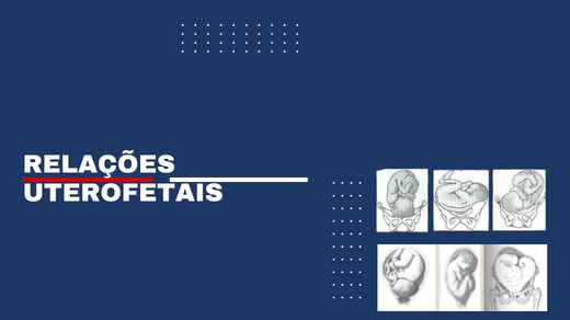 Relações Uterofetais