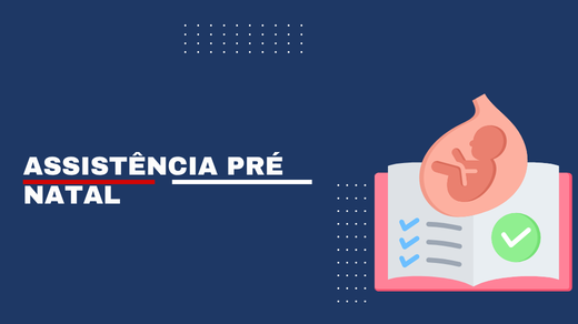 Assistência Pré Natal