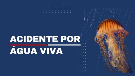 Acidente por contato com água-viva (cnidário).